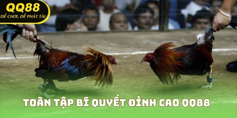 Toàn tập bí quyết đỉnh cao để thắng cược cùng QQ88